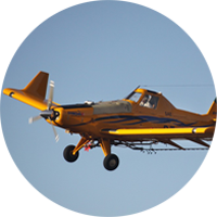 Imagem do setor de Aviação