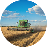 Imagem do setor Agrícola